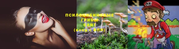 a pvp Волосово